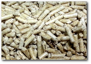 Holzpellets werden aus kleinen Holzstücken gepresst