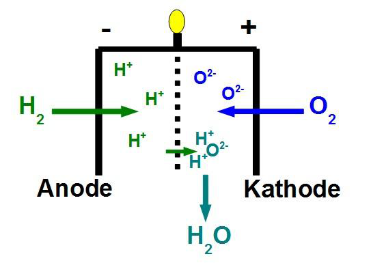 Funktionsweise einer Brennstoffzelle